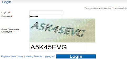 Existing User Login Passport