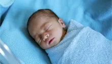 Newborn